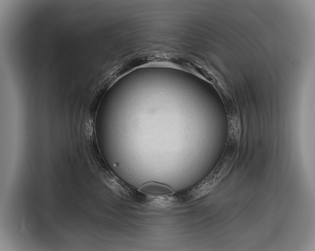 X0000116320621200912091020