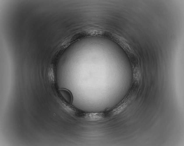 X0000116320622200912091020