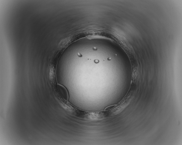 X0000116320623200912091020