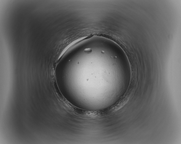 X0000116320624200912091020