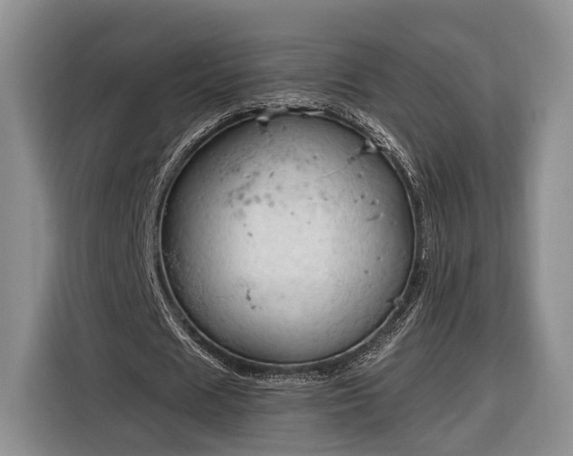 X0000116320625200912091020