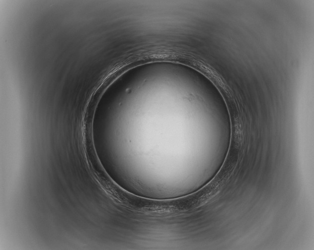 X0000116320626200912091020