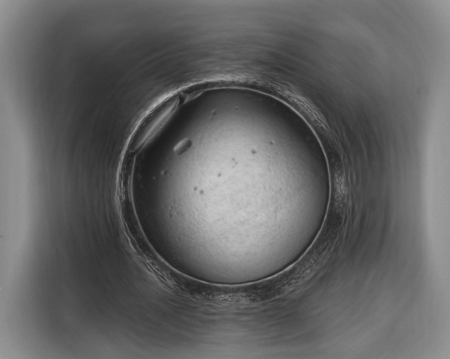 X0000116320628200912091020