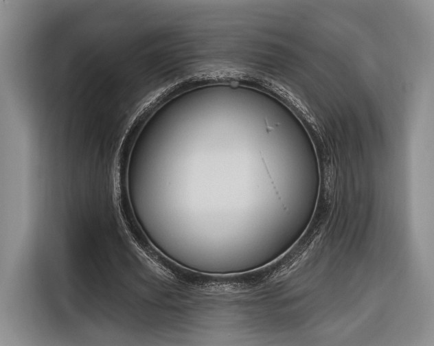 X0000116320629200912091020