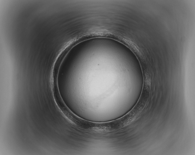 X0000116320630200912091020