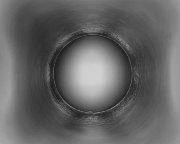 X0000116320631200912091020