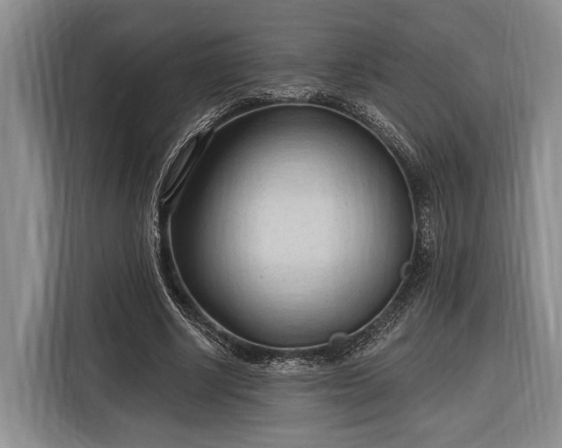 X0000116320634200912091020