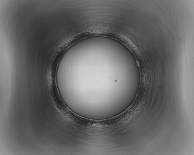 X0000116320635200912091020