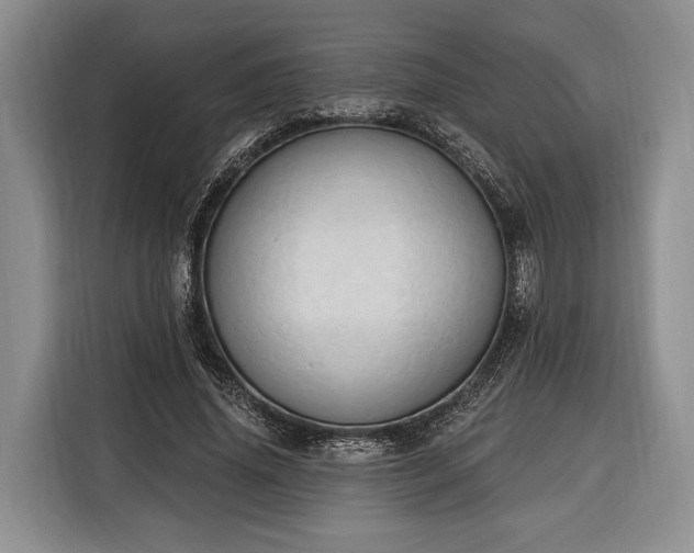 X0000116320636200912091020