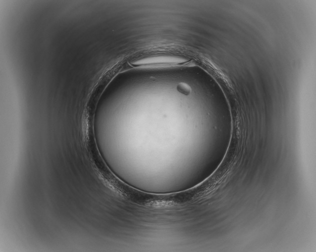 X0000116320637200912091020