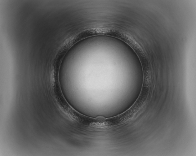 X0000116320639200912091020