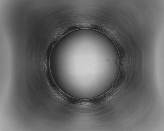 X0000116320642200912091020