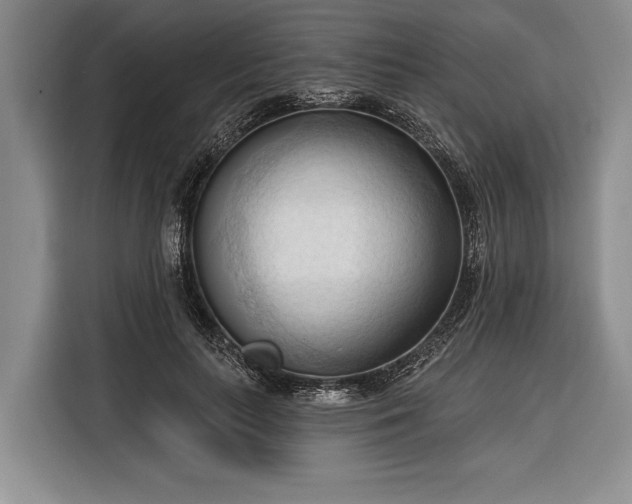 X0000116320647200912091020