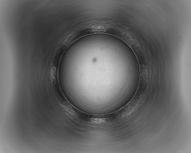 X0000116320649200912091020