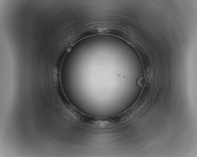 X0000116320650200912091020