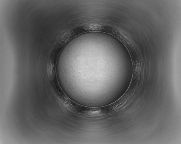 X0000116320651200912091020