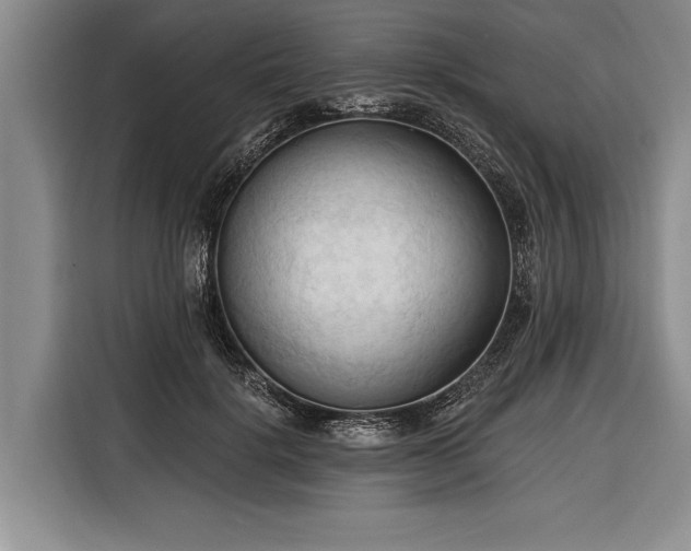 X0000116320652200912091020