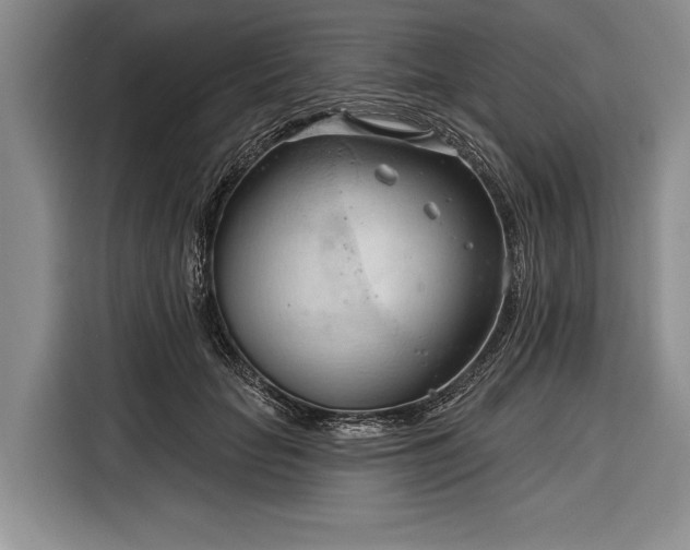 X0000116320653200912091020