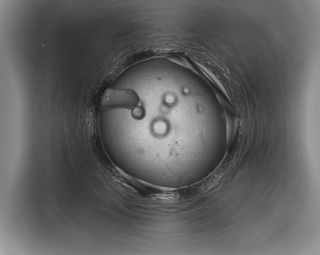 X0000116320659200912091020