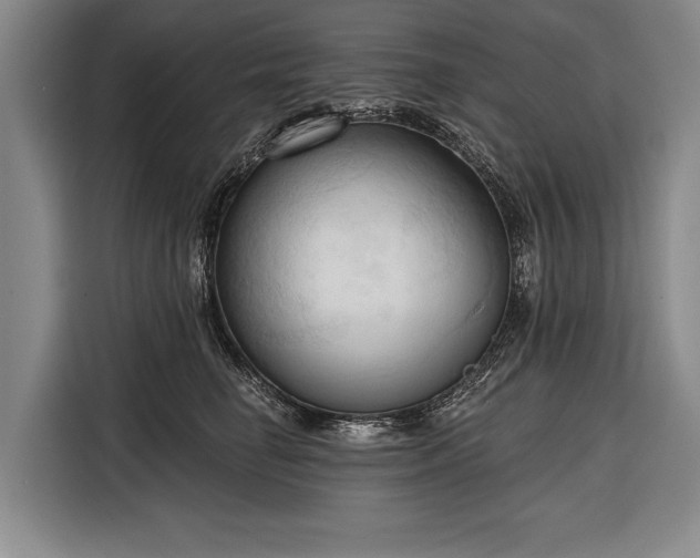 X0000116320662200912091020