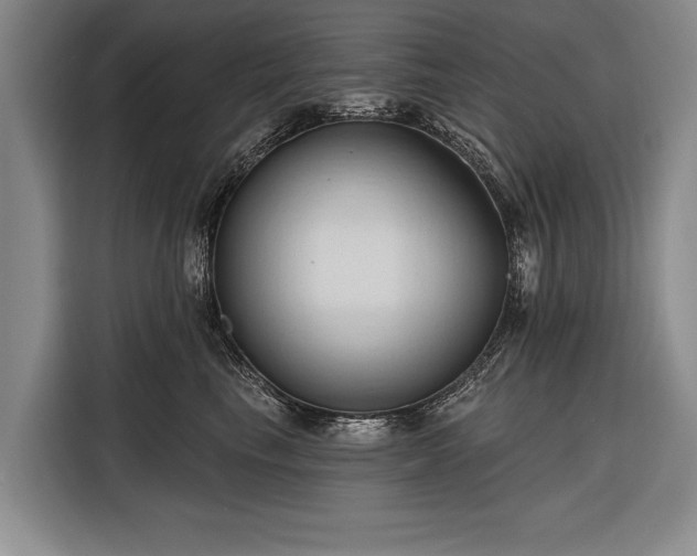 X0000116320665200912091020