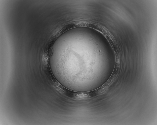 X0000116320669200912091020