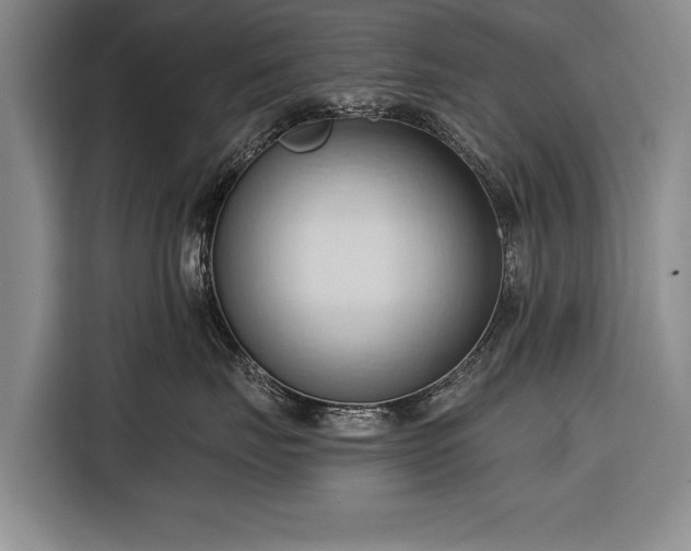 X0000116320671200912091020