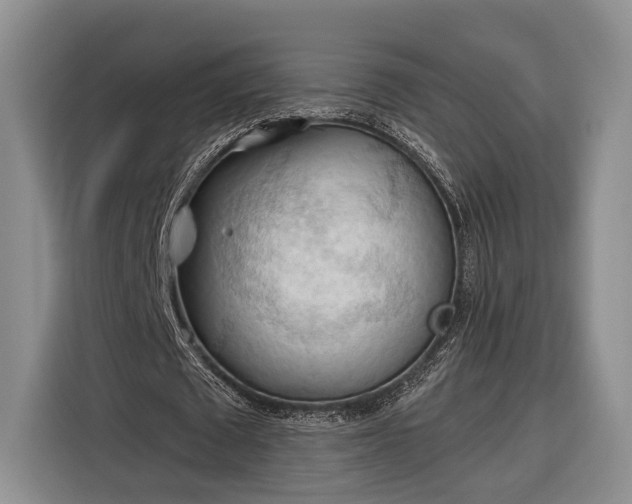 X0000116320673200912091020