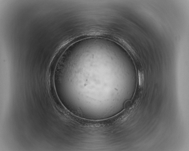 X0000116320675200912091020