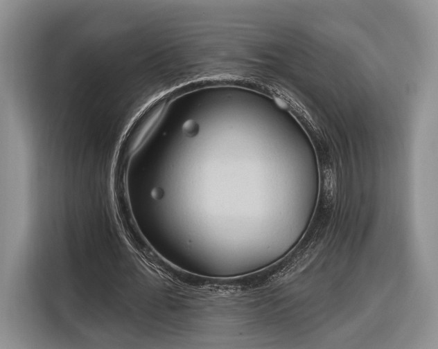 X0000116320676200912091020