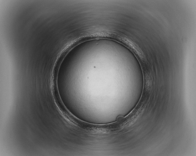 X0000116320677200912091020