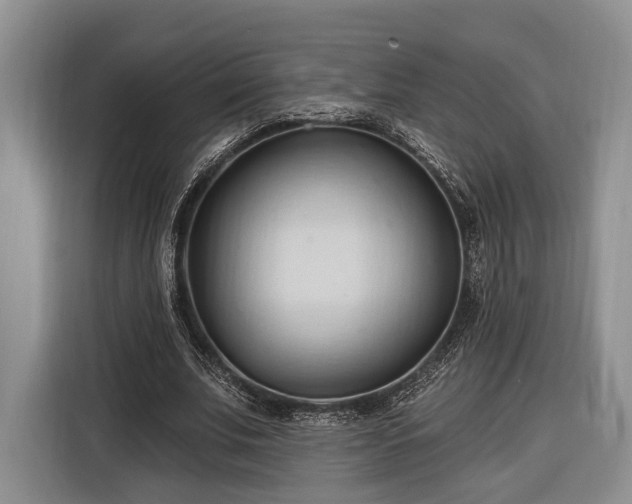 X0000116320679200912091020