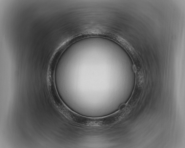 X0000116320680200912091020