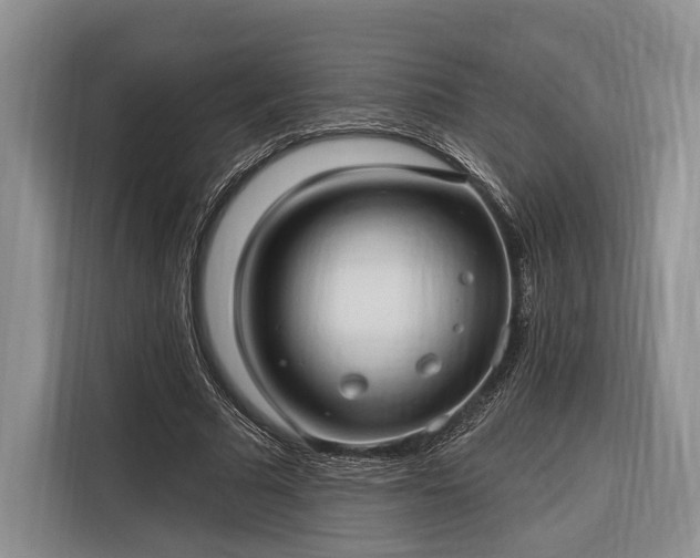 X0000116320681200912091020