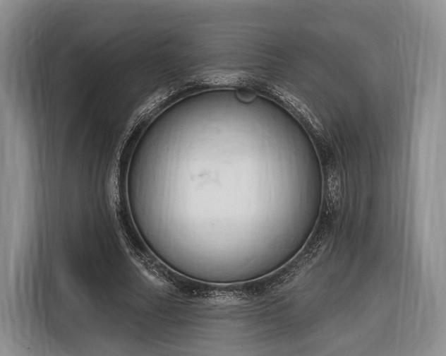 X0000116320682200912091020