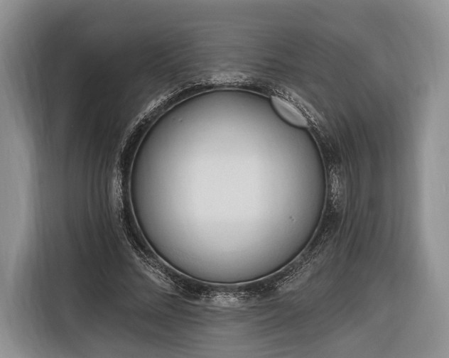 X0000116320684200912091019