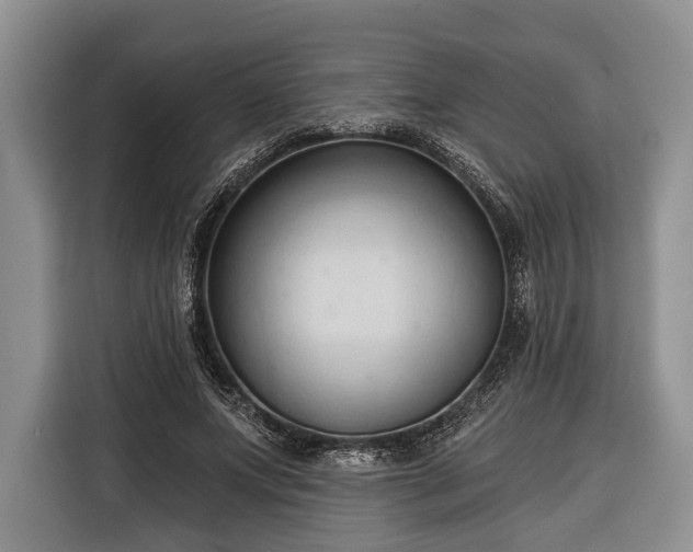 X0000116320687200912091019