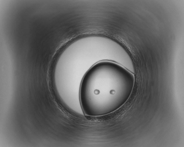 X0000116320688200912091019