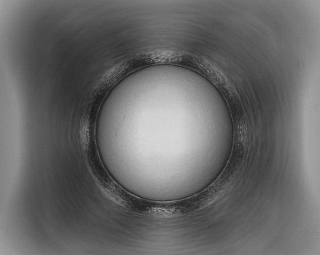 X0000116320690200912091019