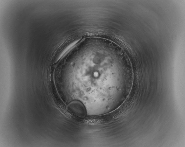 X0000116320691200912091019