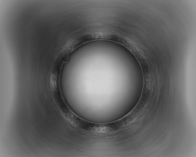 X0000116320695200912091019