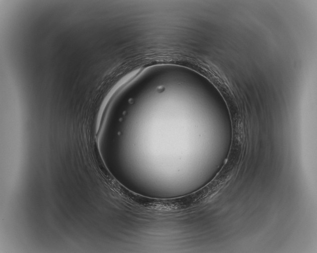 X0000116320697200912091019