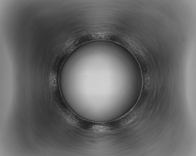 X0000116320699200912091019