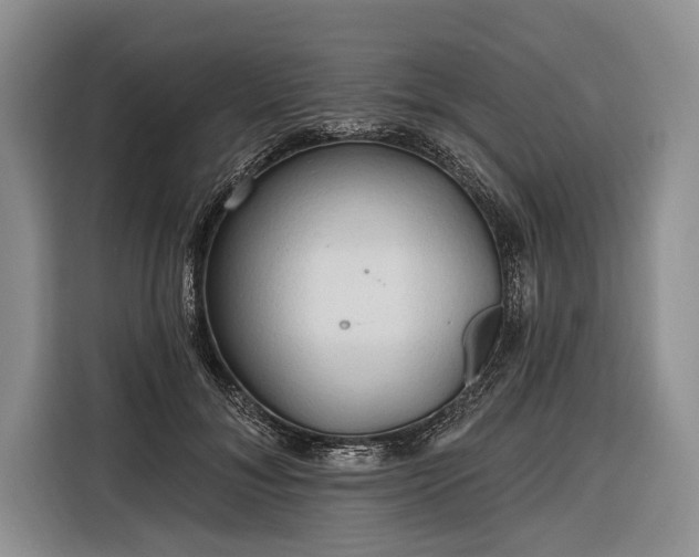 X0000116320700200912091019