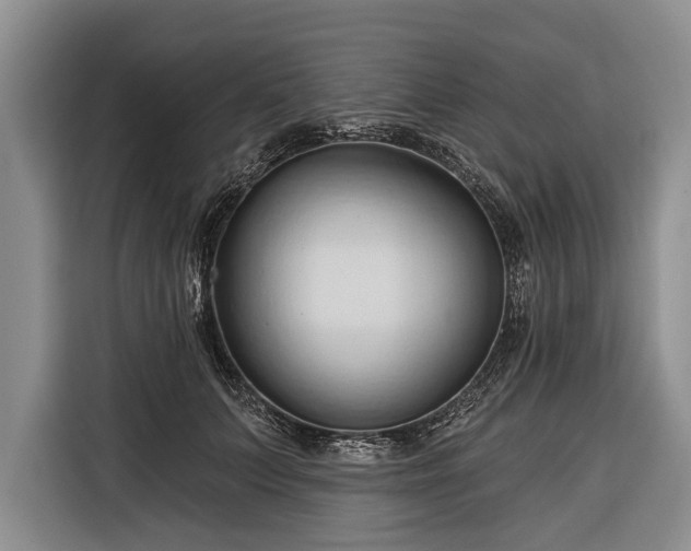 X0000116320703200912091019