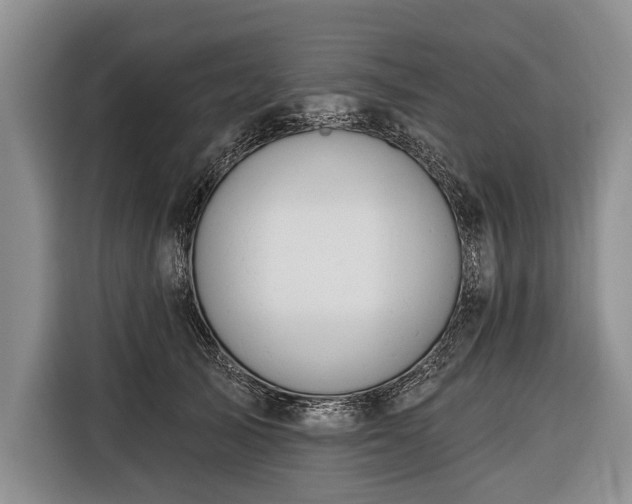 X0000116320705200912091019