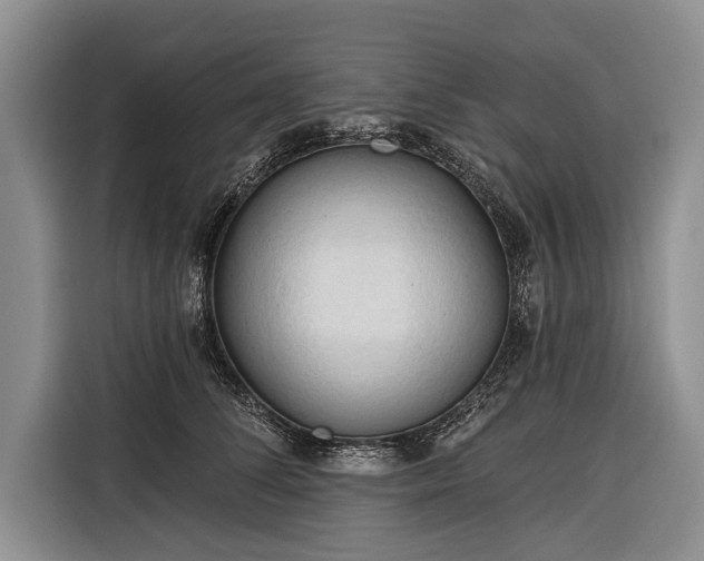 X0000116320708200912091019