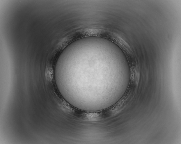 X0000116320718200912091019