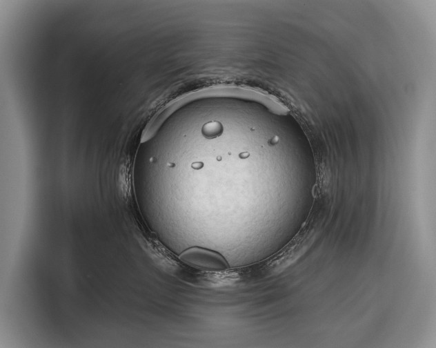 X0000116320719200912091019