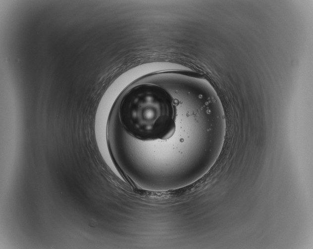 X0000116320720200912091019